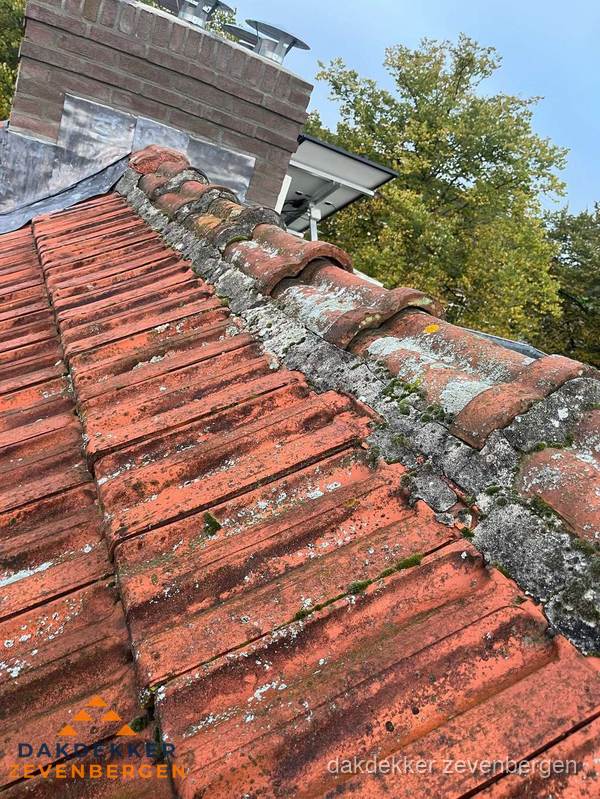 Verweerd hellend dak met mosgroei op nokvorst in Zevenbergen Verweerd hellend dak met mosgroei op nokvorst in Zevenbergen